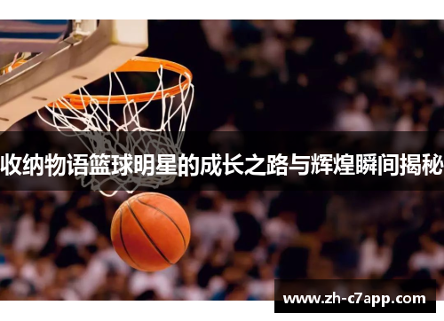 收纳物语篮球明星的成长之路与辉煌瞬间揭秘